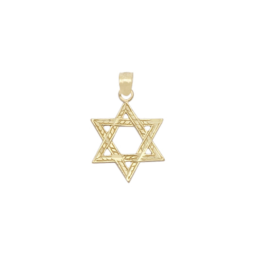 10K Yellow Gold Star of David Pendant, Textured Magen David Jewish Charm for Necklace, Religious Jewelry Gift for Women & Kids